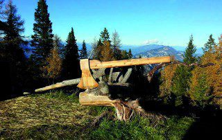 dosso 12219570_421050418086111_9017991501329701989_n