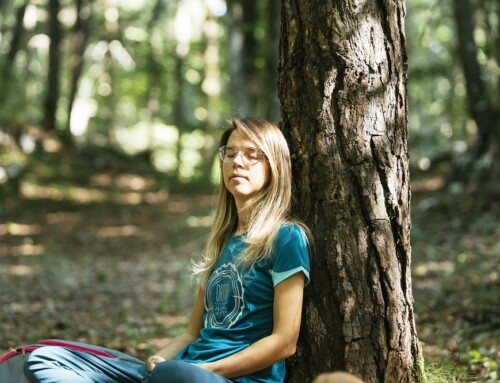 Forest Bathing