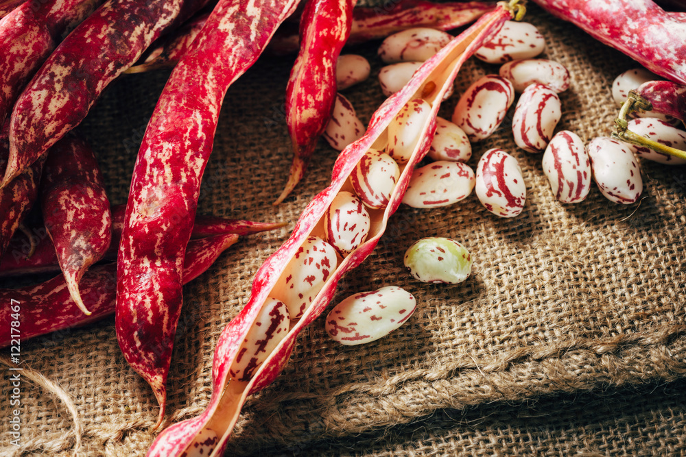 AdobeStock_122178467_Preview