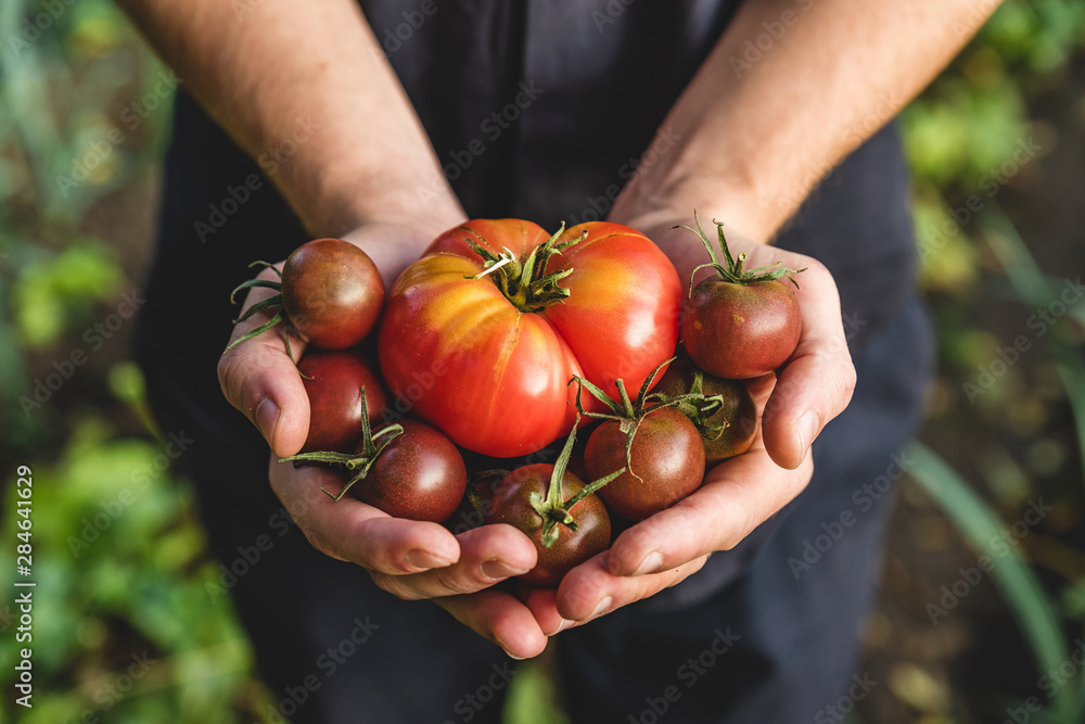 AdobeStock_284641629_Preview